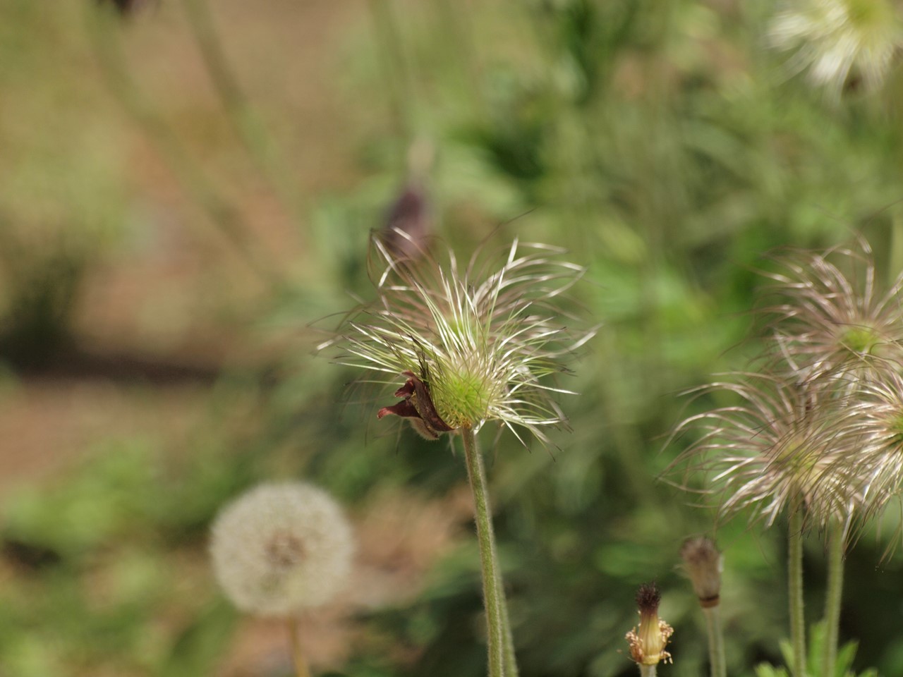 d0054276_20202466.jpg