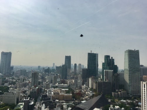 e0272081_10281251.jpeg
