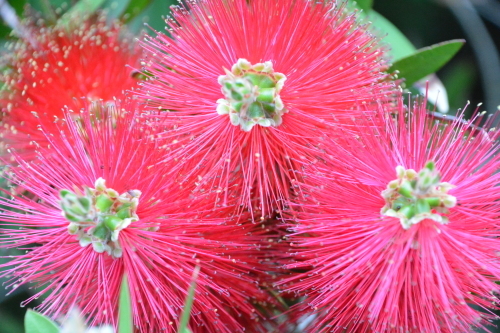 c0204385_20305679.jpg