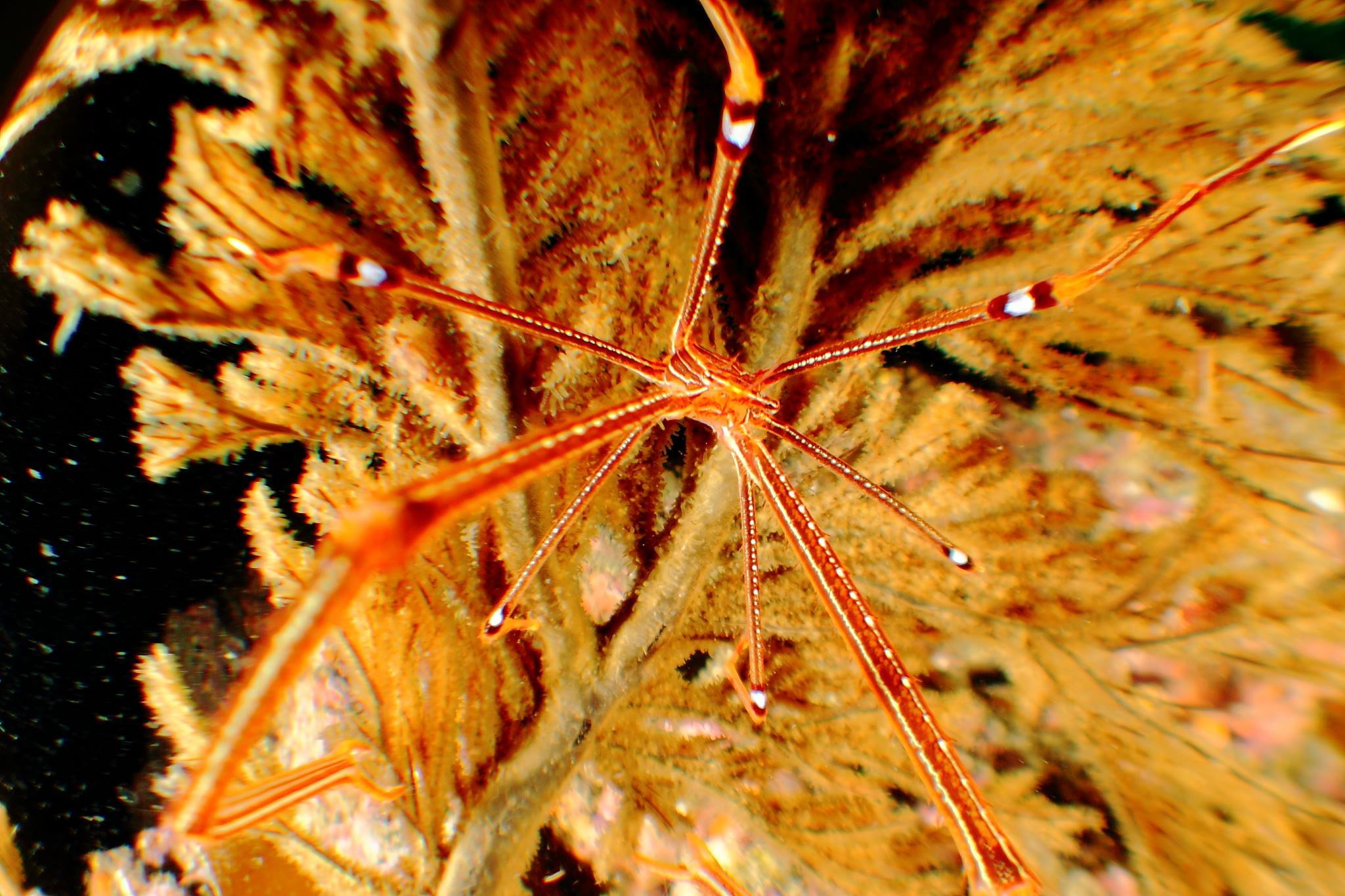 f0151886_16134822.jpg