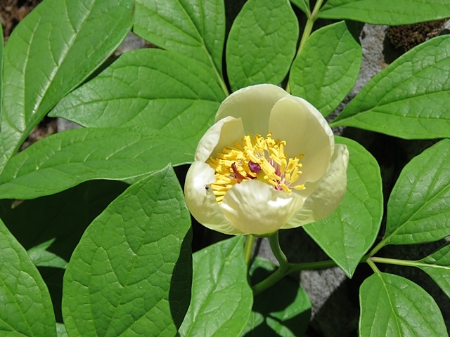 f0357487_21091745.jpg