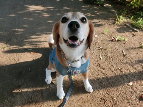 a0319693_5555017.jpg