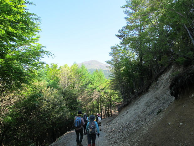 米良三山山開き～5合目から登る市房山　2018.4.29（日）_a0166196_16441986.jpg