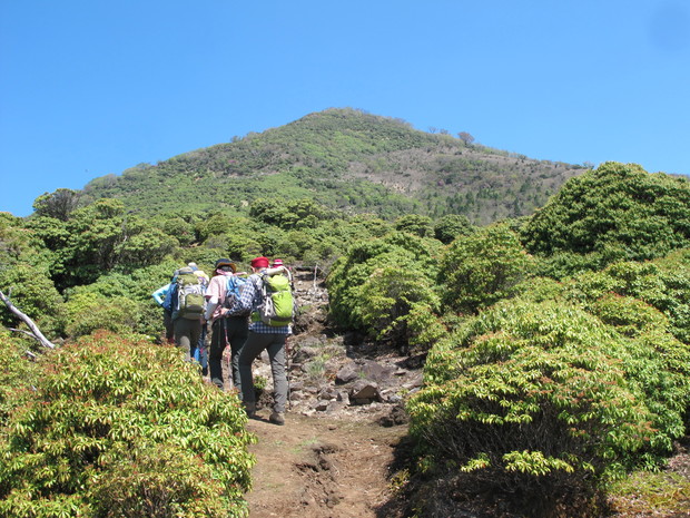 米良三山山開き～5合目から登る市房山　2018.4.29（日）_a0166196_16464265.jpg