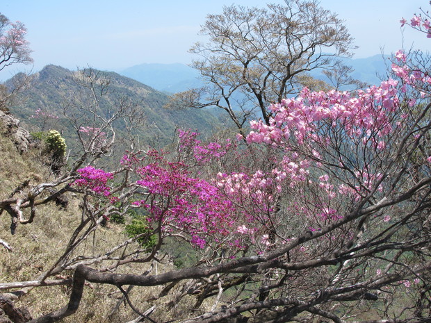 米良三山山開き～5合目から登る市房山　2018.4.29（日）_a0166196_16491044.jpg