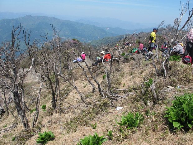 米良三山山開き～5合目から登る市房山　2018.4.29（日）_a0166196_16533918.jpg