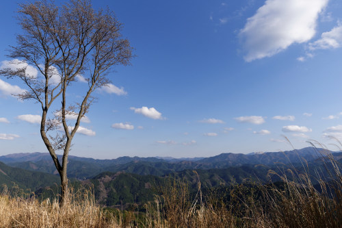 e0366896_23202442.jpg