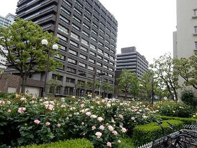 b0051598_20340170.jpg
