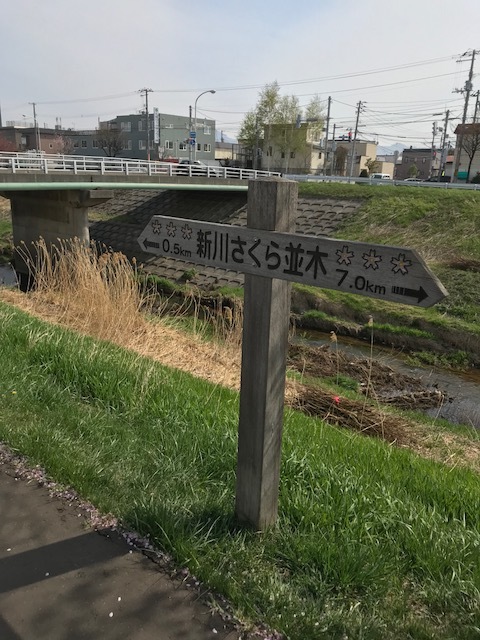 b0159098_09075429.jpg