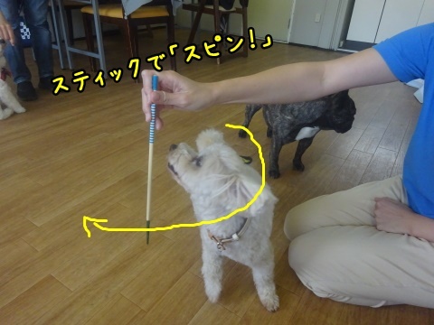 a0338800_16541098.jpg