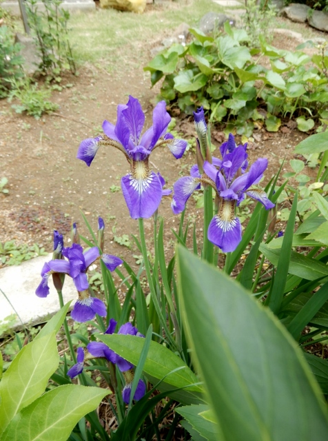 e0025300_2127125.jpg