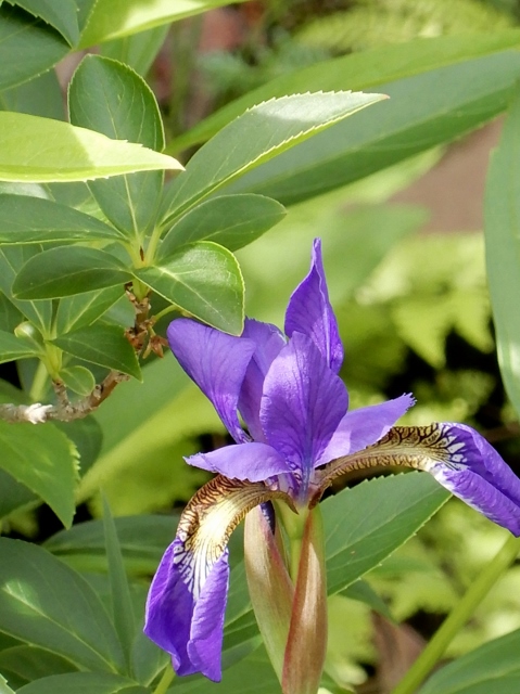 e0025300_21333522.jpg