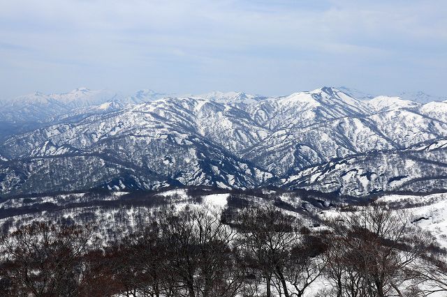 e0137200_2253599.jpg
