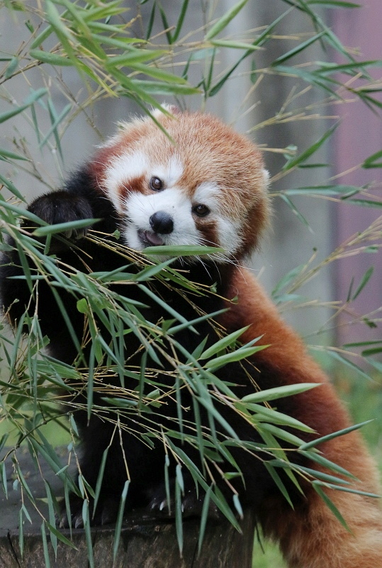 a0306502_23145817.jpg