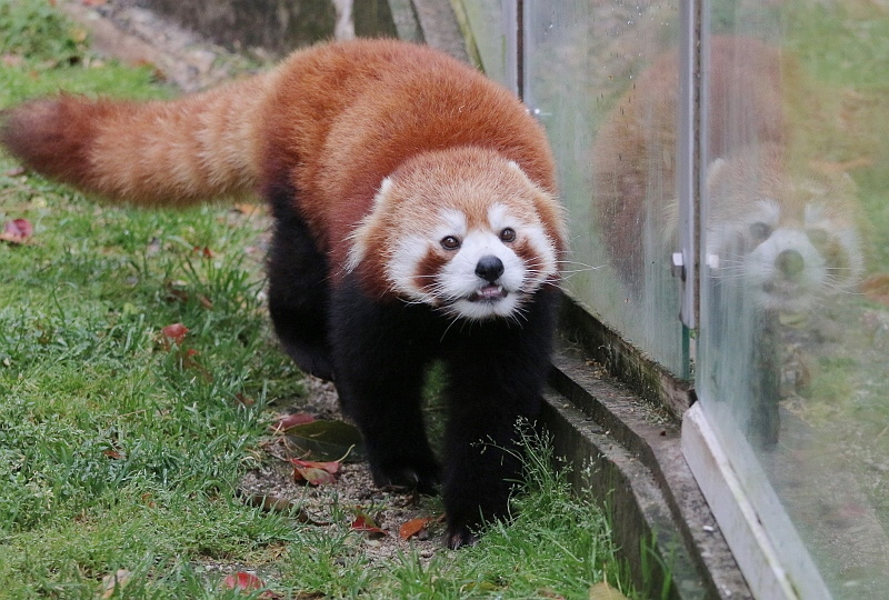 a0306502_23145974.jpg