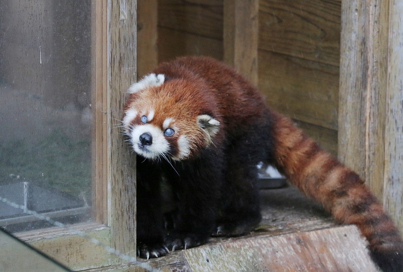 a0306502_23145987.jpg