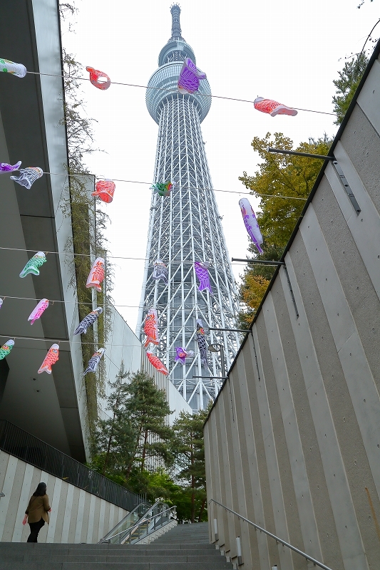 b0291402_14394359.jpg