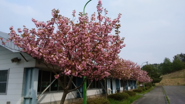 f0249602_15045338.jpg