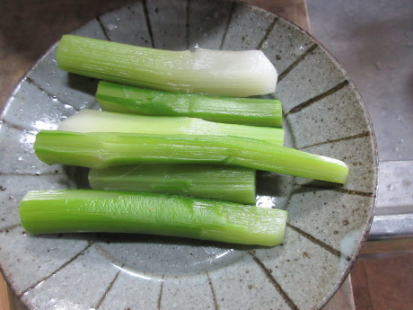 a0203003_15285905.jpg