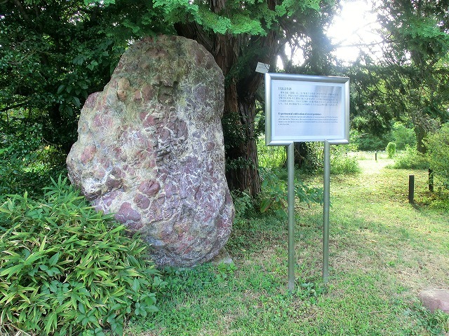 c0187004_20195294.jpg
