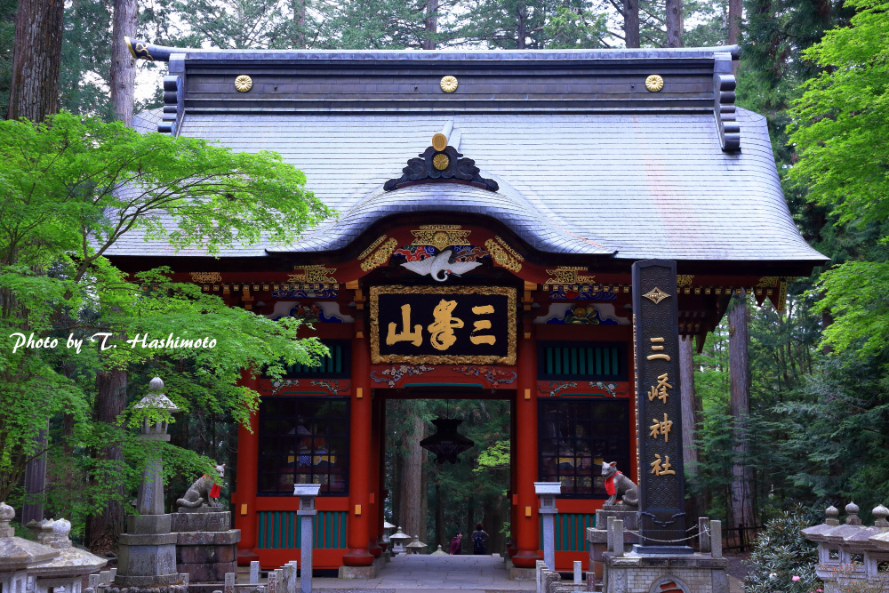 d0334006_10420448.jpg