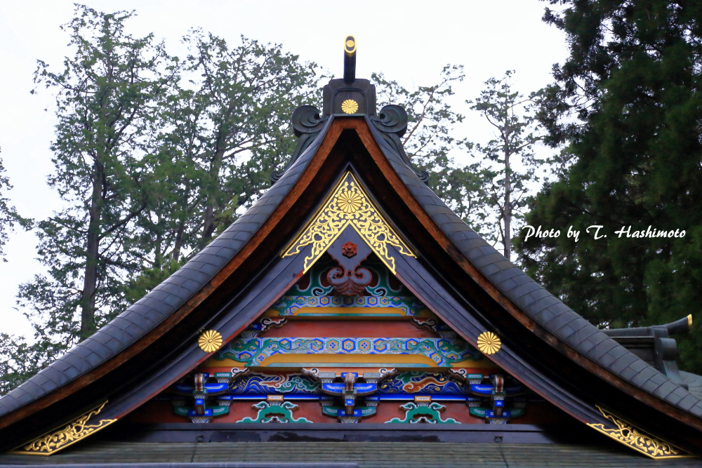 d0334006_11000251.jpg