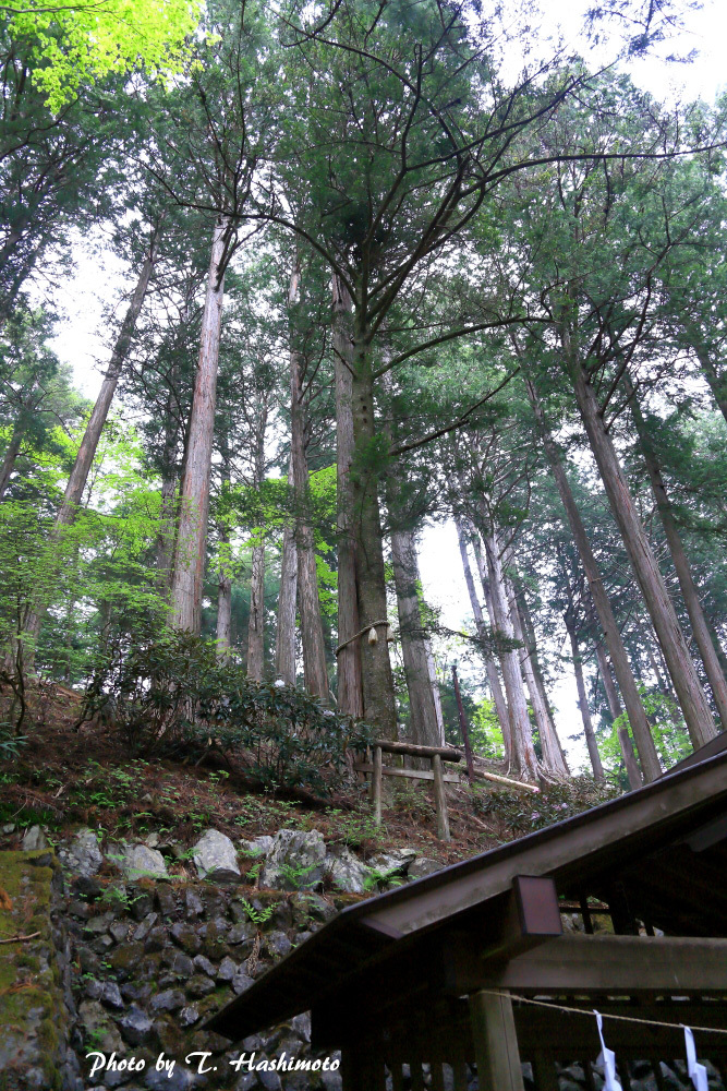 d0334006_13524578.jpg