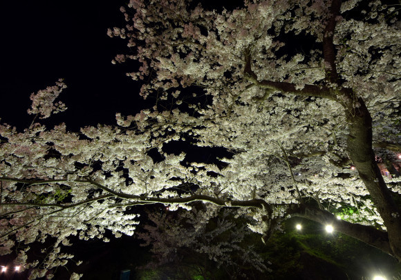 【春を満喫】桜見に行ったり雪見てきたりしてみた_c0336907_19334964.jpg