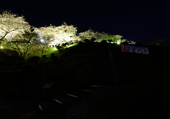 【春を満喫】桜見に行ったり雪見てきたりしてみた_c0336907_19343595.jpg