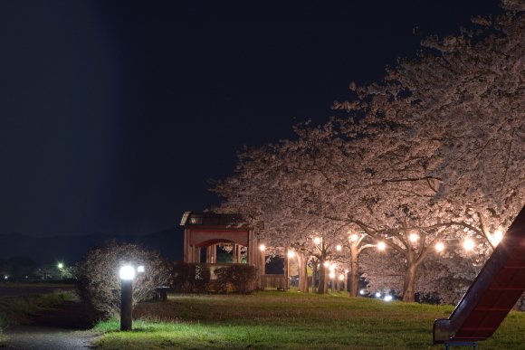 【春を満喫】桜見に行ったり雪見てきたりしてみた_c0336907_19381269.jpg