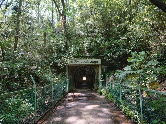 4/30 羽村山口軽便鉄道跡(野山北公園自転車道)を歩く_b0042308_11194085.jpg