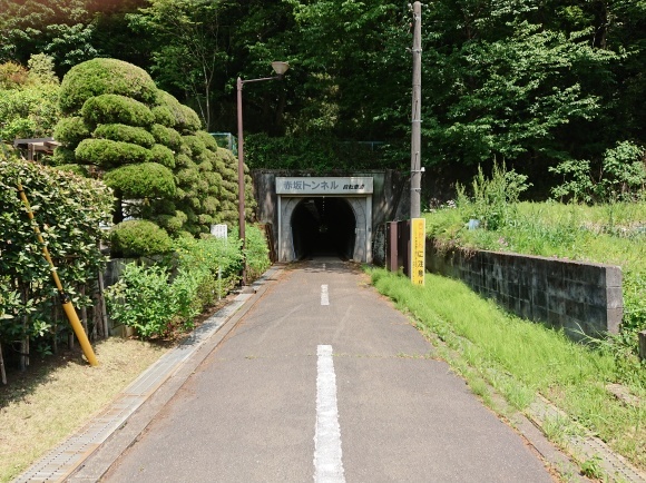 4/30 羽村山口軽便鉄道跡(野山北公園自転車道)を歩く_b0042308_11195180.jpg