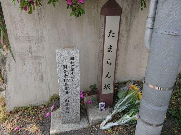 5/1 多摩蘭坂 / たまらん坂@国立市_b0042308_13012622.jpg