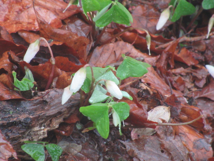 f0219710_20330177.jpg