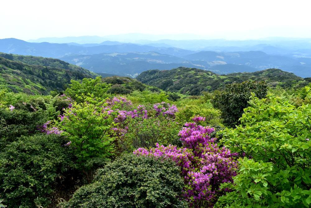 f0212511_09314961.jpg