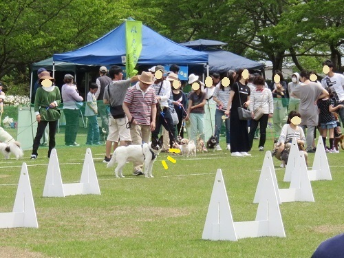 c0084117_19150491.jpg