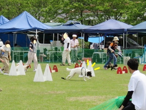 c0084117_19152537.jpg