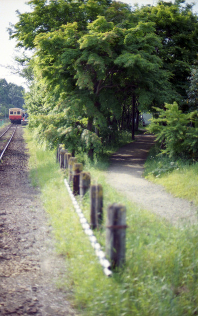 d0339617_09242026.jpg