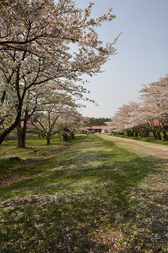 b0259218_18535667.jpg