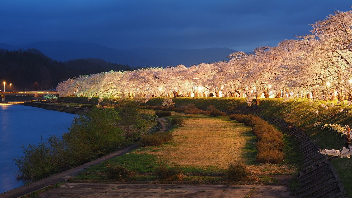 満開！桧内川堤の桜はマジックアワーに豪華華麗♪・・・２０１８東北一人旅シリーズ（その２）_a0031821_10204286.jpg