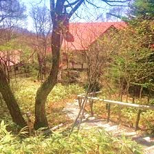e0189225_16160727.jpg