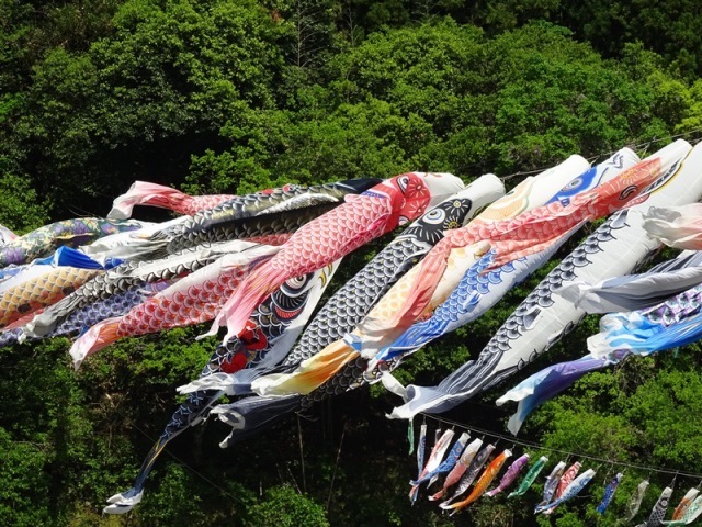 f0213825_16142408.jpg