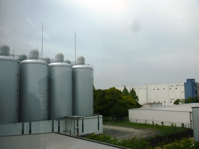 d0137326_10035752.jpg