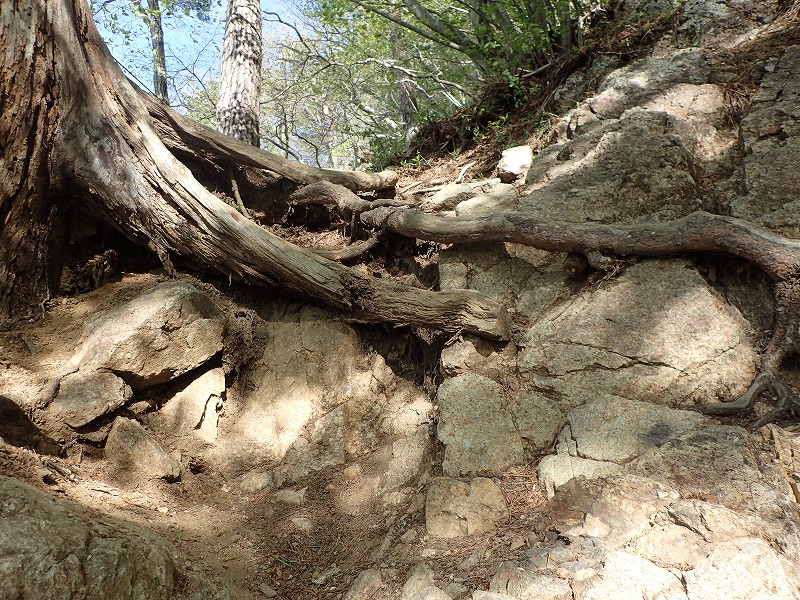 e0284726_12104447.jpg