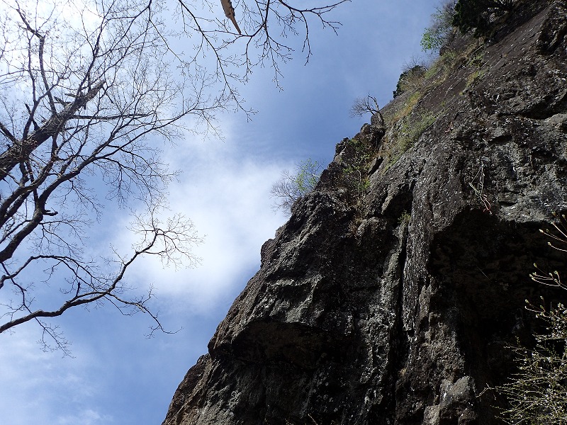 e0284726_12112419.jpg