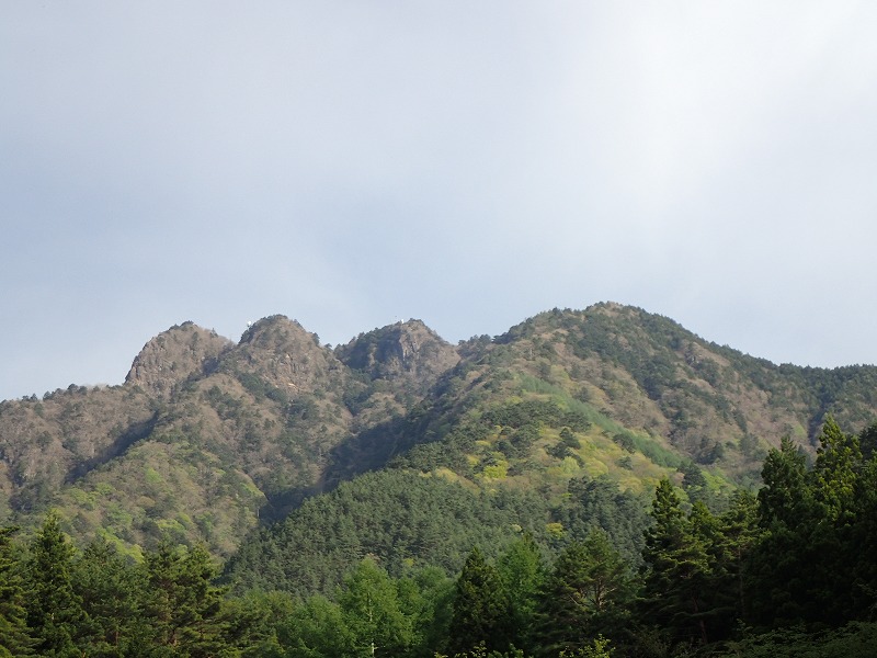 e0284726_12453528.jpg