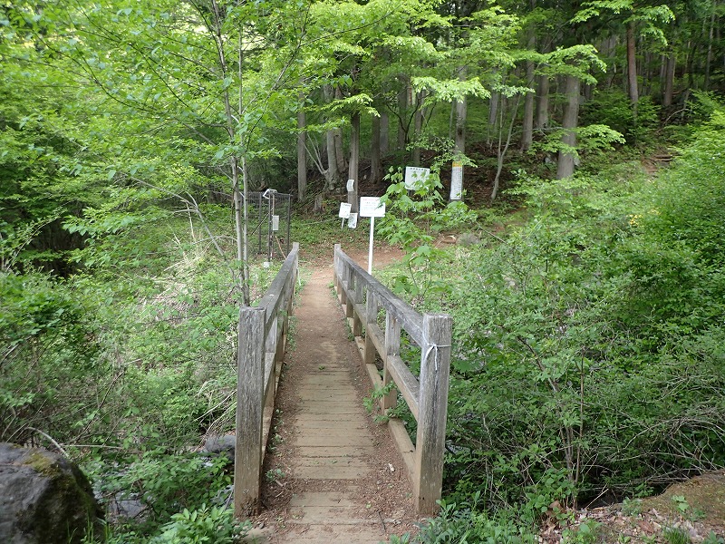e0284726_1283340.jpg