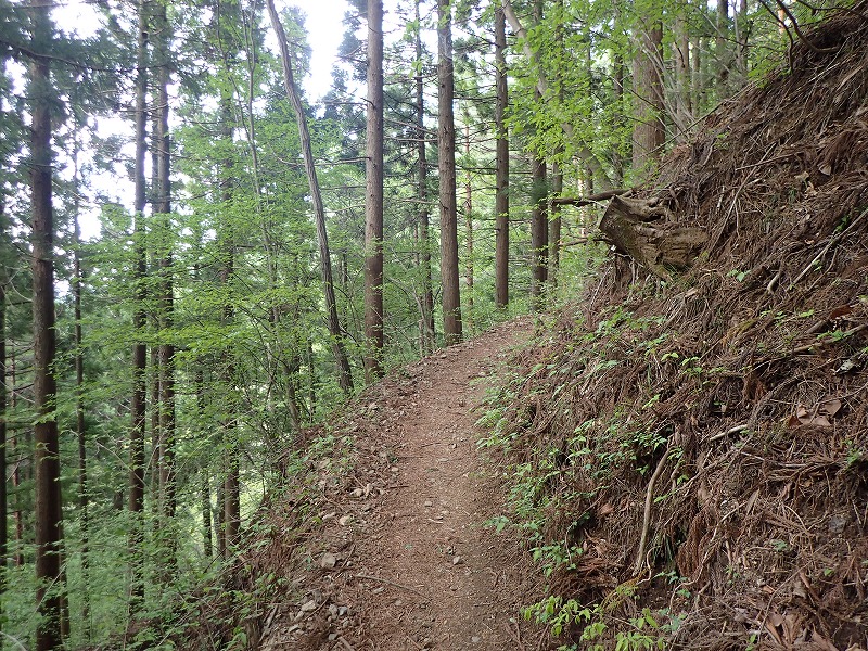 e0284726_1292094.jpg