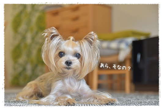 d0179828_12493042.png