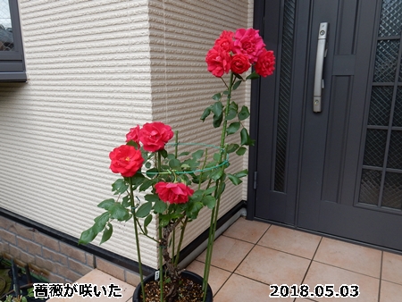 e0033229_1572158.jpg